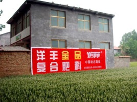 务川如何让墙体广告展现最大化效果