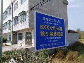 务川墙体广告质量分析