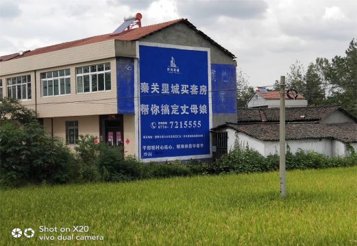务川决定墙体广告价格的因素有哪些?