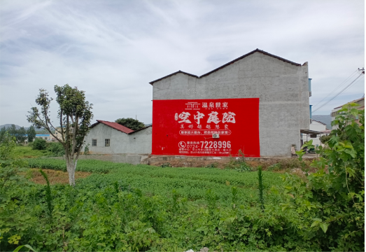 务川做墙体广告的意义